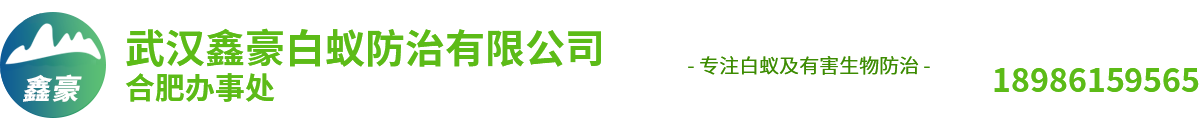 安徽鑫豪白蟻防治公司